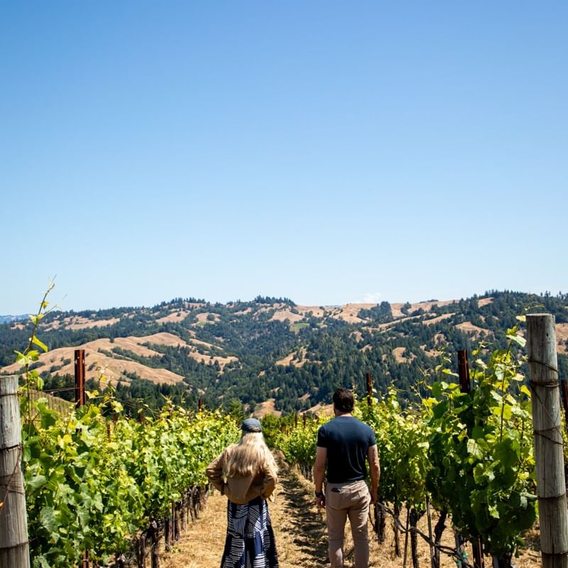 Chef Steven walking in a vineyard at Herons Wine Dinner with Jasmine Hirsch.