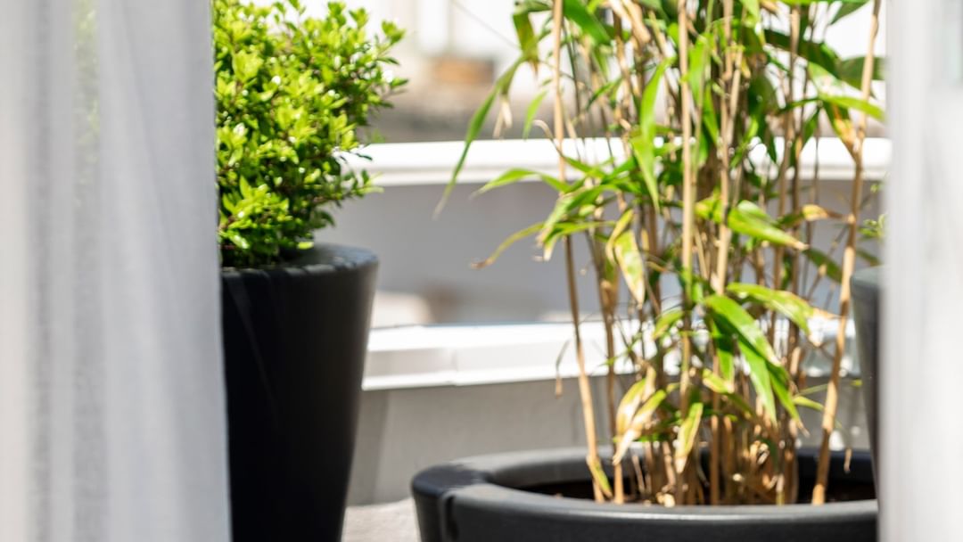 Chambre Prestige Vue Mer