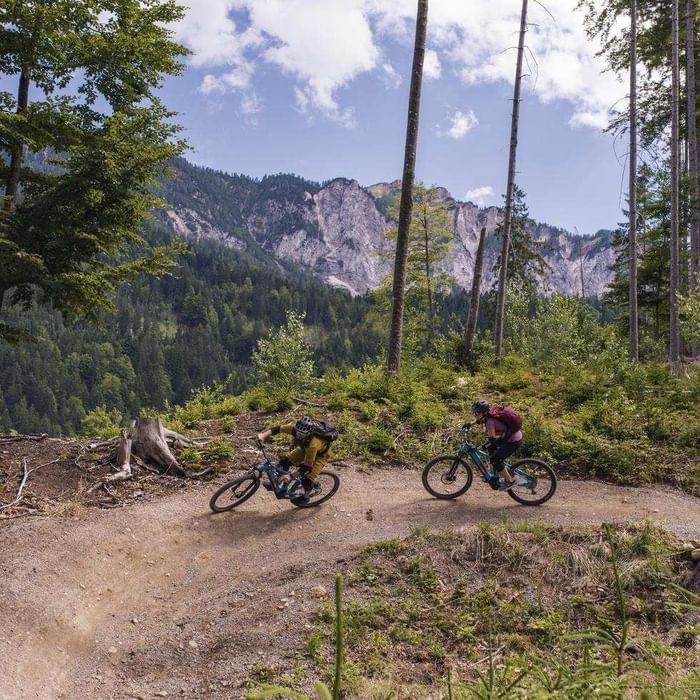 Zwei Mountainbiker fahren auf einem Waldweg, umgeben von Bäumen und einem Berg im Hintergrund.