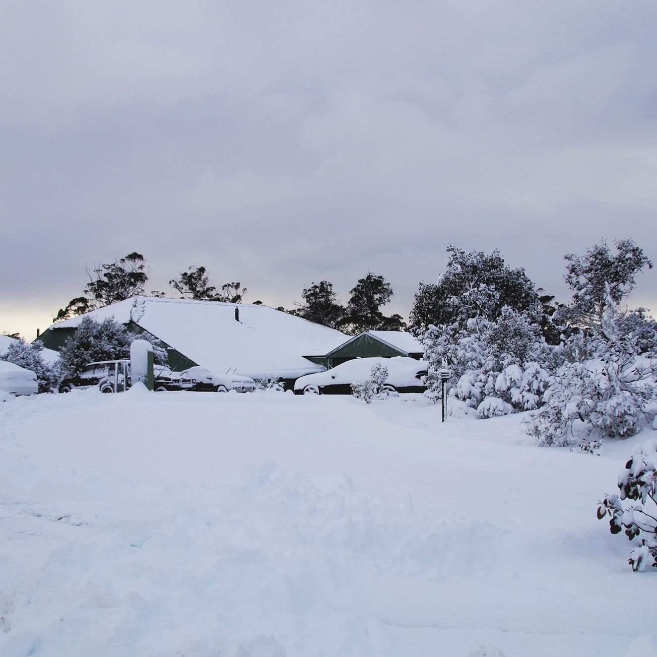 Exterior view of Cradle Mountain Hotel covered with snow