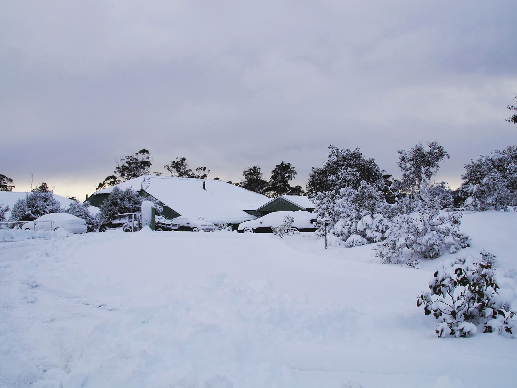 Staying Safe In A Winter Wonderland Driving Through Snow In Tasmania