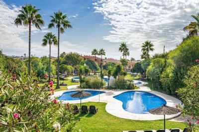 Los Amigos Beach Club Outdoor Swimming Pool with Palm Trees in t