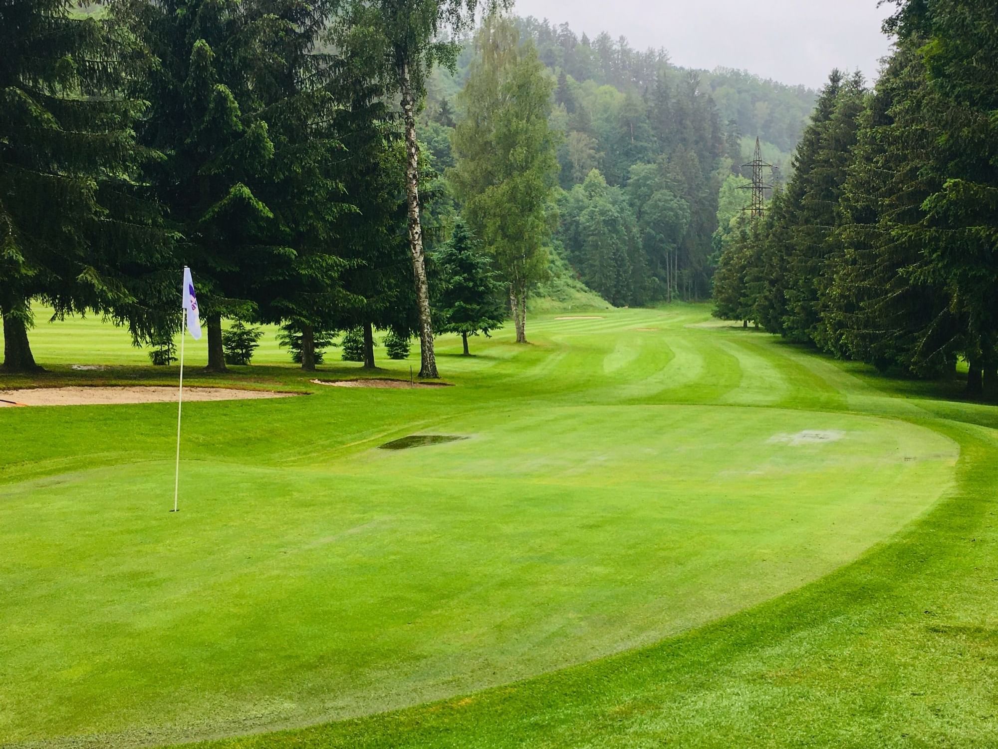 Green golf course with trees and a flag at Atlantica Hotel Halifax in Halifax.