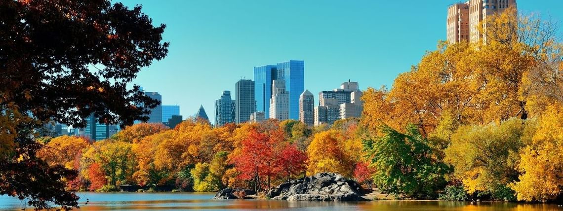Fall Bucket List NYC Moderne Blog 2025