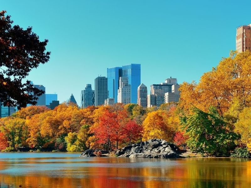 Fall Bucket List NYC Moderne Blog 2025