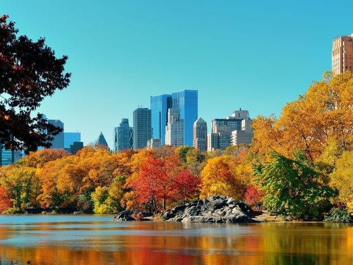 Fall Bucket List NYC Moderne Blog 2025