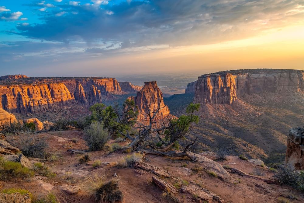Sunset over rocky canyon cliffs by a gnarled tree under a cloudy sky near Warwick Denver
