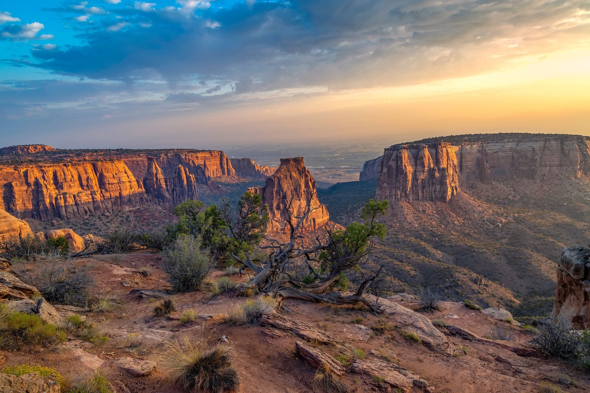Sunset over rocky canyon cliffs by a gnarled tree under a cloudy sky near Warwick Denver