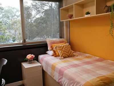 Cozy room with yellow walls, bed, desk, chair, and plants at La Trobe University – Menzies College.