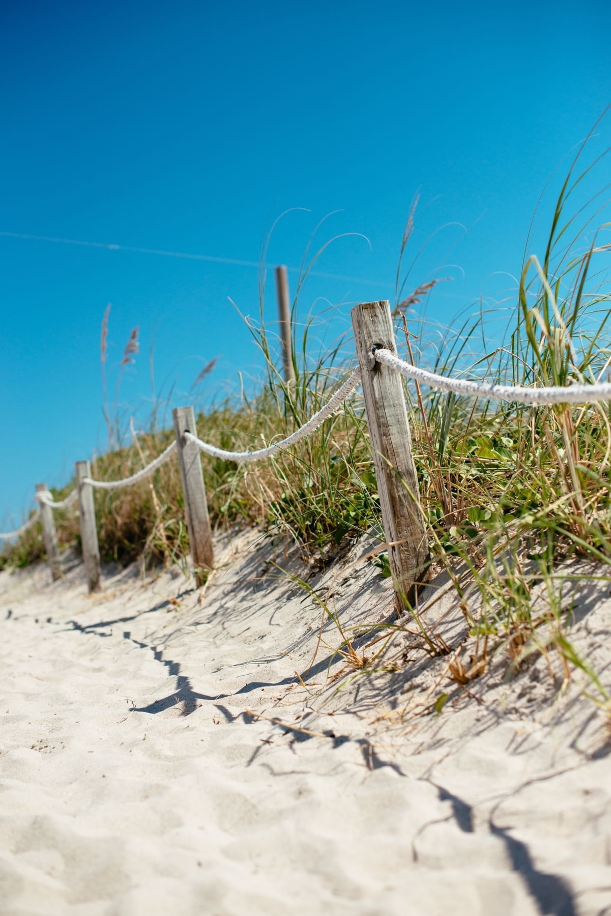 Fence separating the grass, sand at Greenview Boutique Hotel