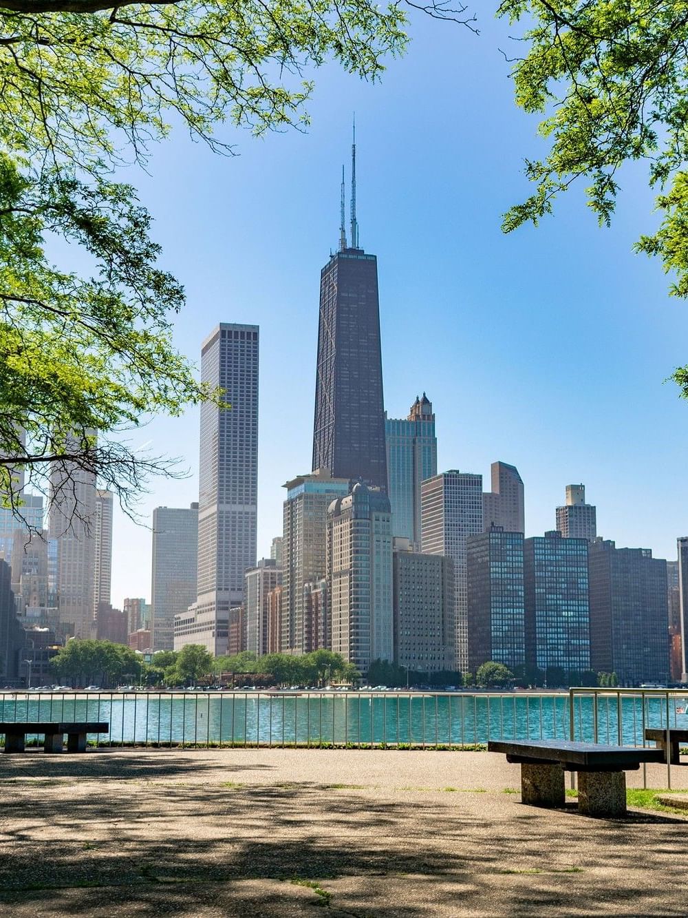 Chicago skyline viewed from a lakefront park with green trees framing the scene and benches along the waterfront path.