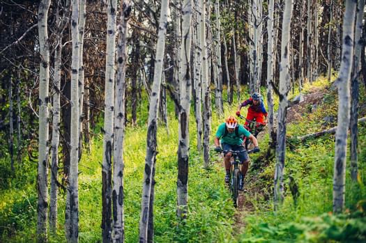 Mountain biking through trails in woods, Aava Whistler Hotel