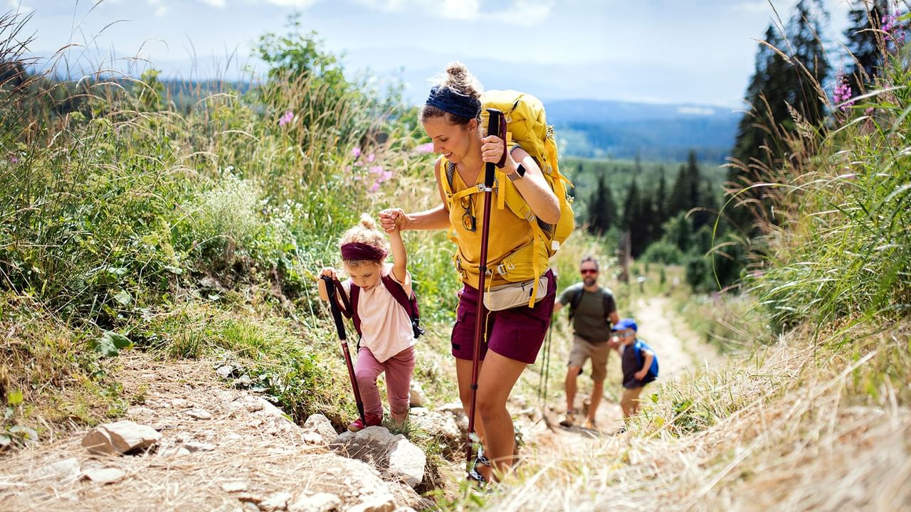 Family hiking on a trail with scenic views