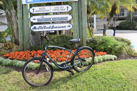Bicycle at The Cove Inn