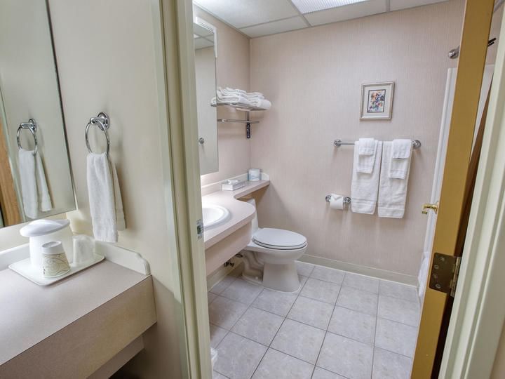 Bathroom view of Single Queen Ada Accessible at Bear Lodge
