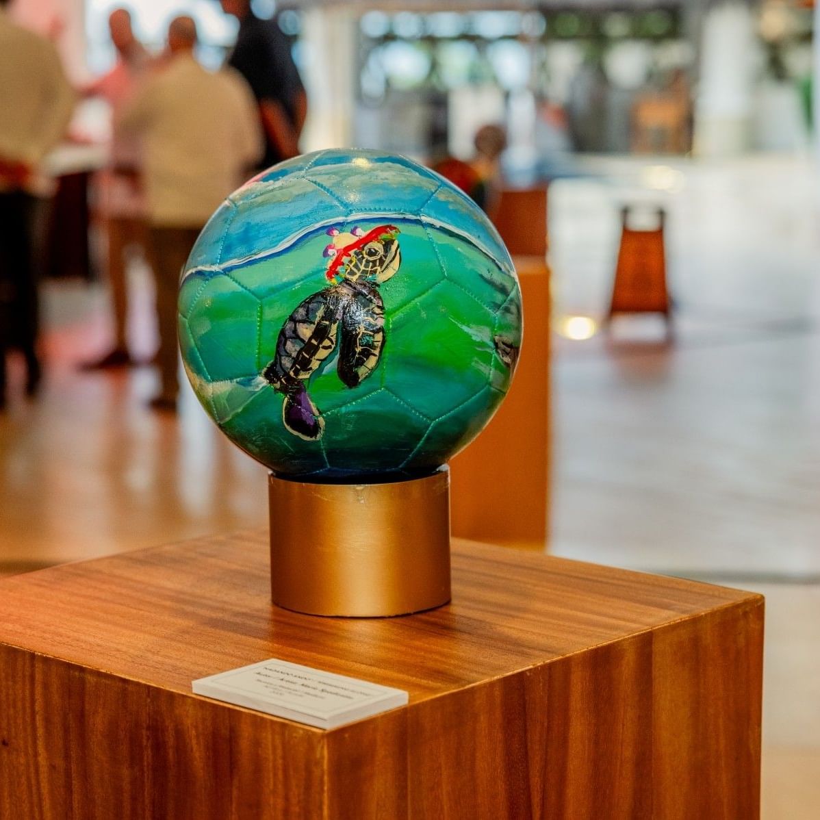 Sea turtle-inspired artwork featured in a cultural exhibition in Puerto Vallarta.