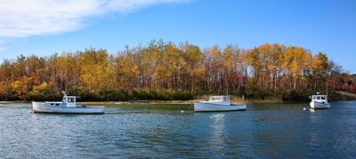 Boats on the water in Autumn