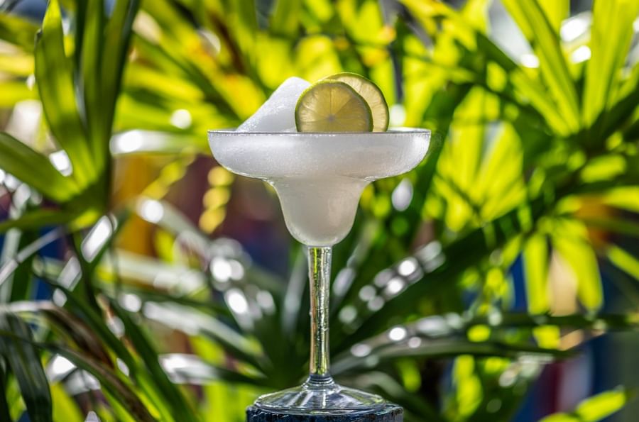 Frozen cocktail in a martini glass with lime slices, set against lush greenery at Tokatoka Resort - Fiji International Airport.