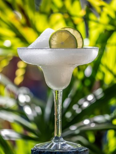 Frosted cocktail with lime slices in a glass surrounding tropical leaves in Poolside Bar at TokaToka Resort Nadi Fiji