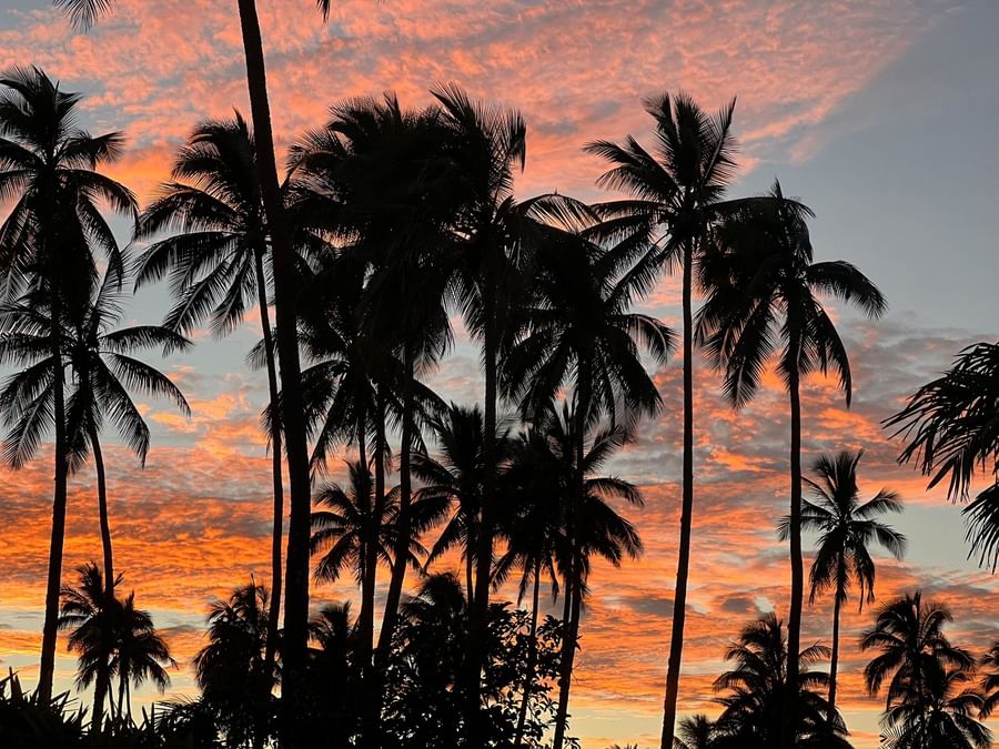 Silhouette of palm trees against a vibrant sunset sky at The Naviti Resort Fiji.