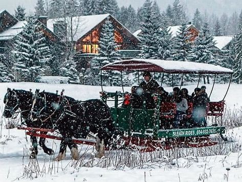 People on a sleigh ride near Aava Whistler Hotel