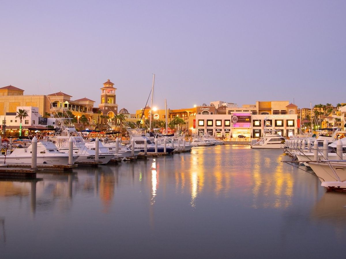 Boats in a harbor - Marquis Los Cabos