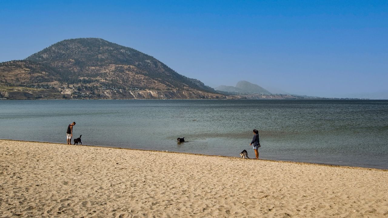Two people and two dogs at a beach with hills in the background under a blue sky.