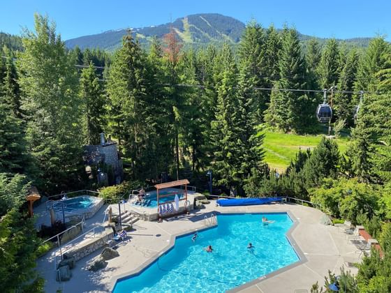 Aerial view of outdoor pool area surrounded by pine trees at Blackcomb Springs Suites