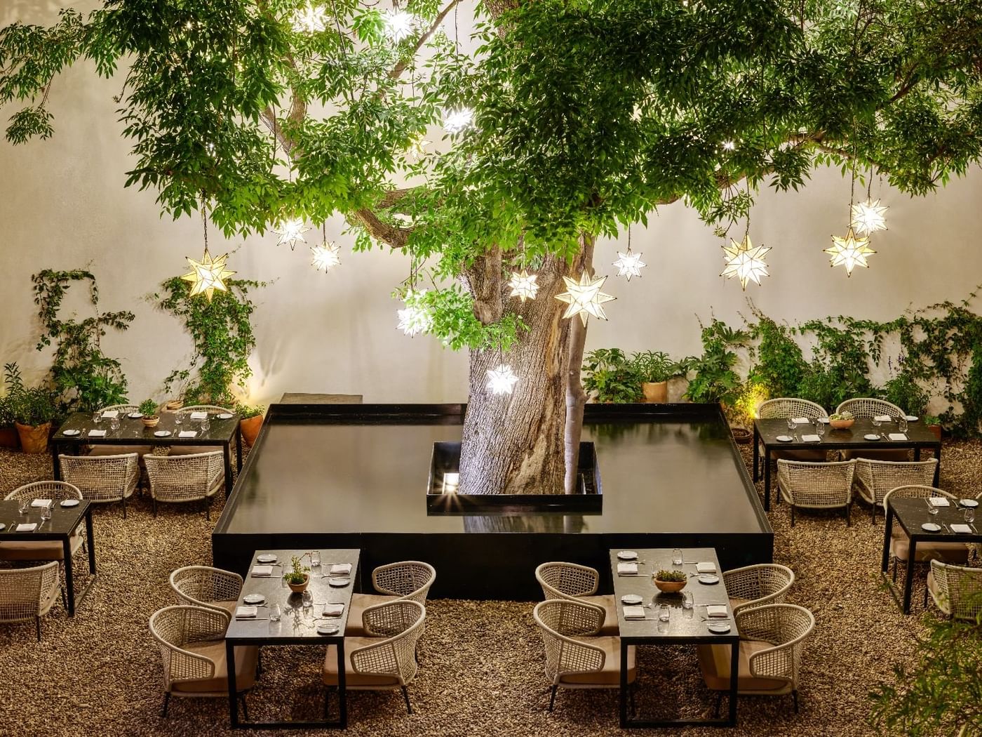 Patio del Árbol restaurant-style outdoor lounge area at Fiesta Americana Travelty