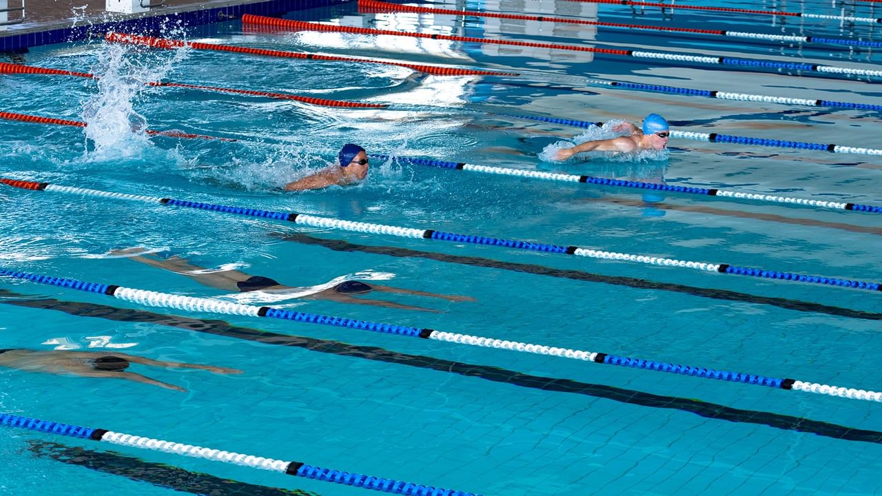 Swimmers practicing lane swimming in a pool