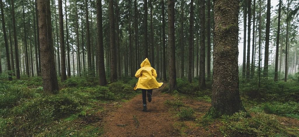Person in a yellow raincoat walking along a forest path surrounded by tall evergreen trees.
