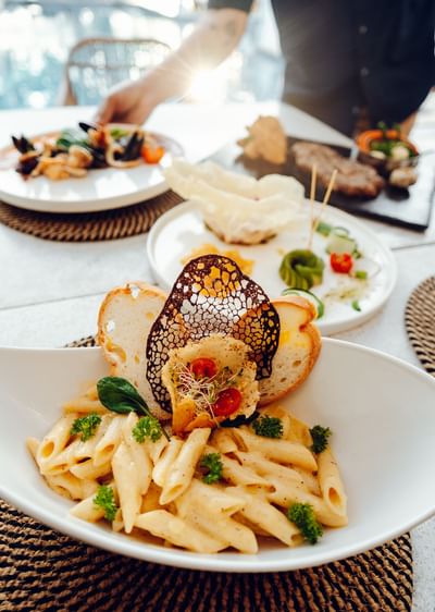Close-up of creamy penne pasta with toasted bread served in Azure Restaurant & Bar at Barefoot Cay Resort & Marina