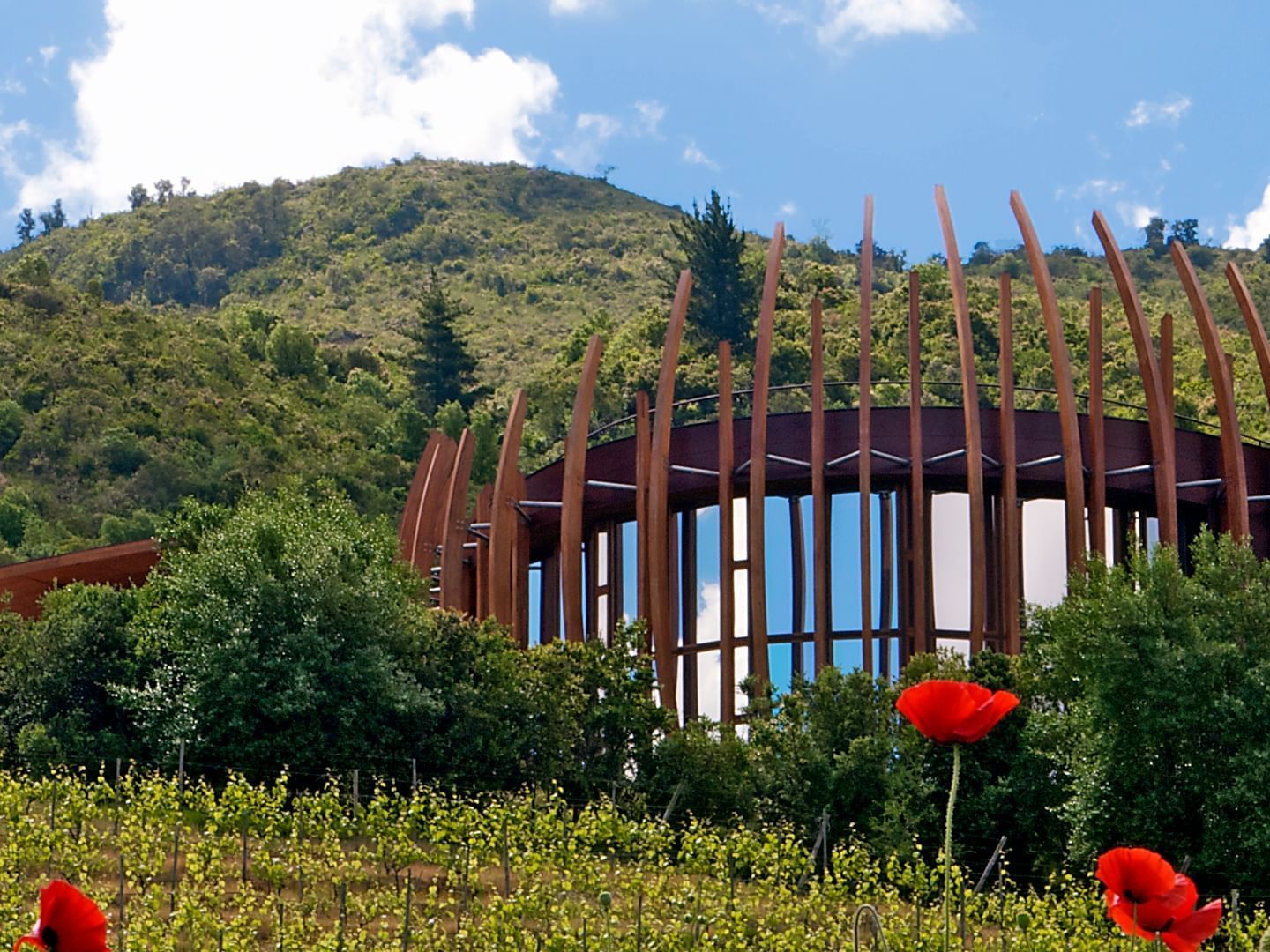 Exterior View of Clos Apalta Vineyard at NOI Blend Colchagua