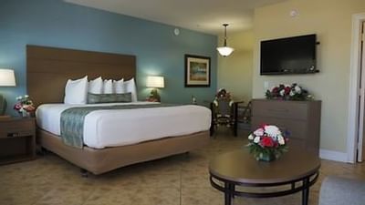 bed in suite