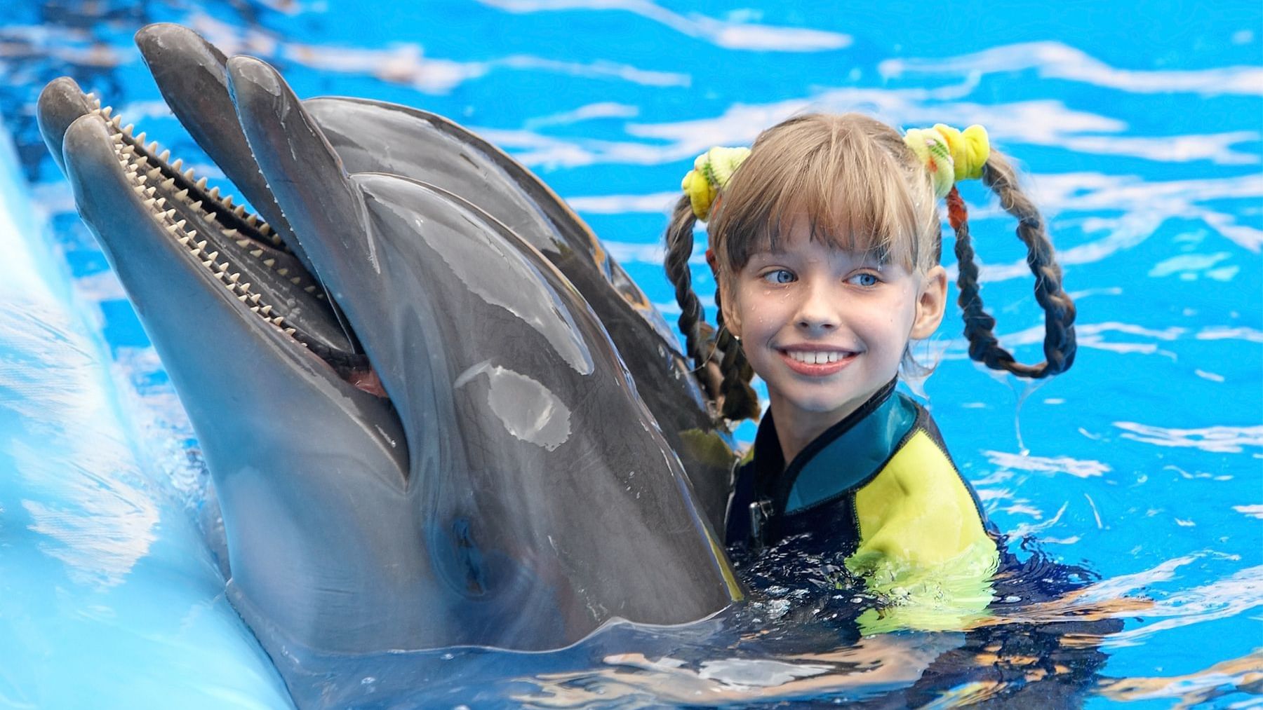 Dolphin and kid