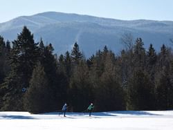 Long shot of two cross country skiers near High Peaks Resort