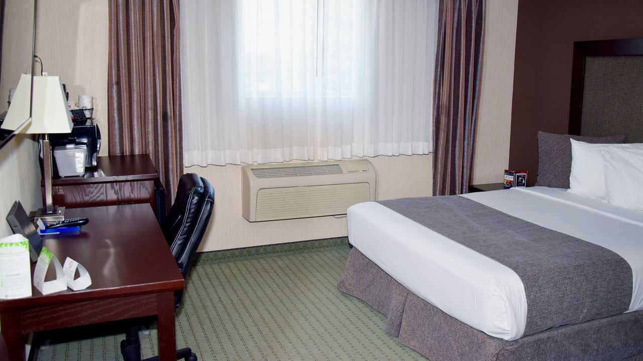 A hotel room with a bed, desk, chair, lamp, and window with curtains.
