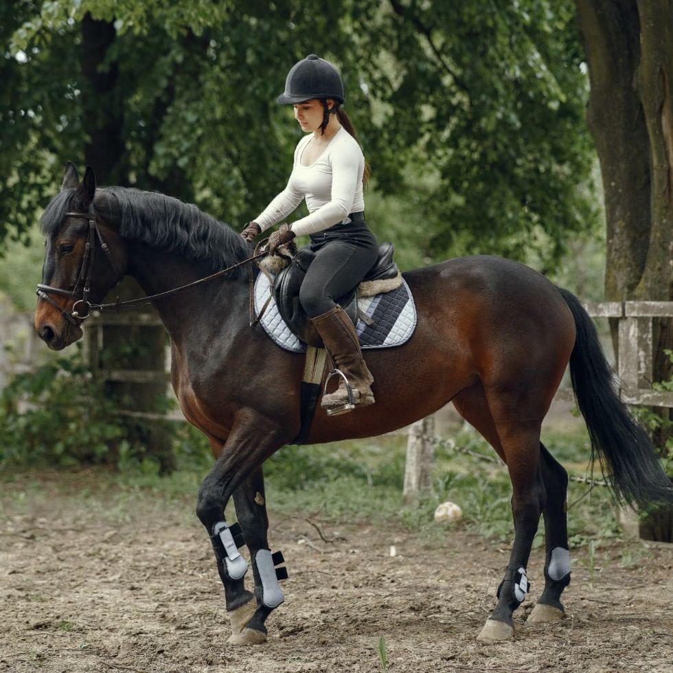 Female horse rider on a horse at Falkensteiner Hotels