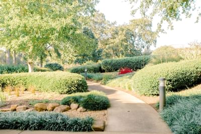 path that leads through green foliage