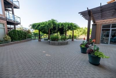 gellatly terrace