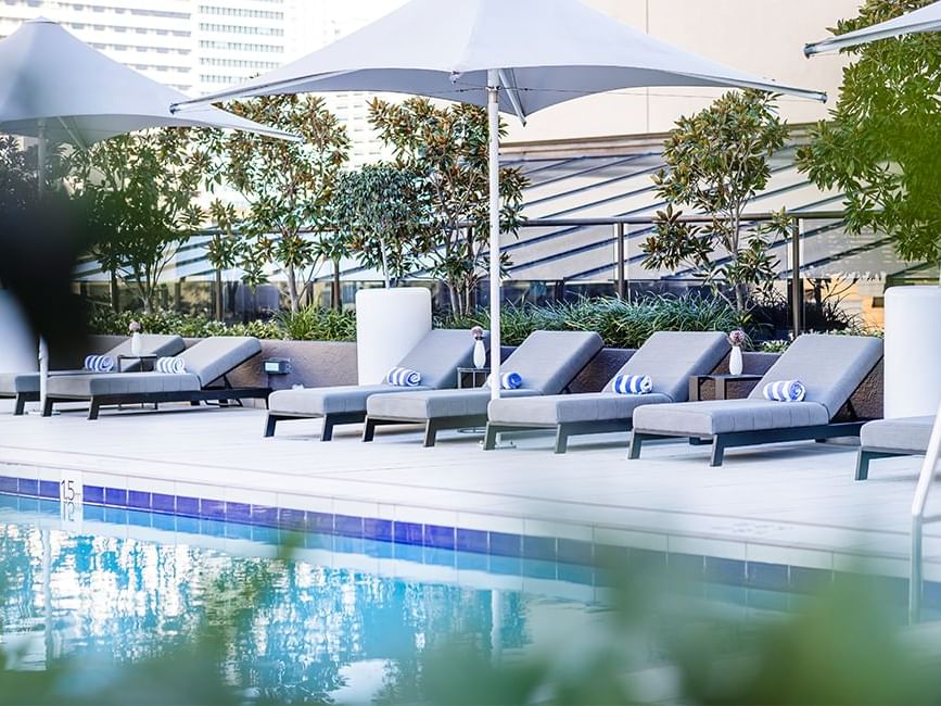 Poolside loungers and umbrellas with lush greenery in Sofitel Brisbane Central