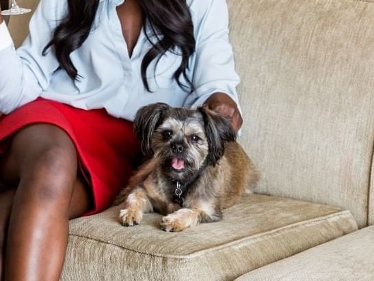 Close-up of a lady petting a dog on a couch at Varscona Hotel on Whyte