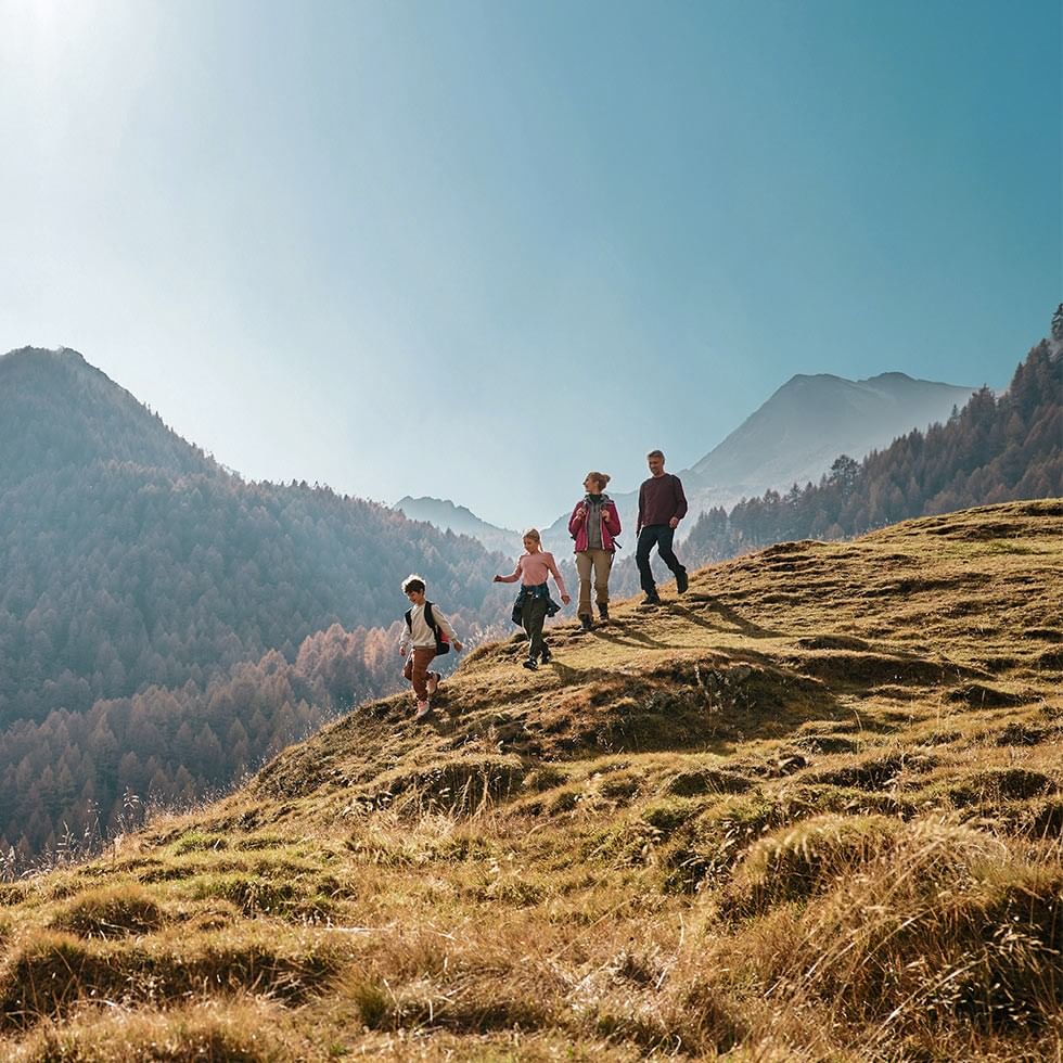 Famiglia di quattro persone che cammina su un sentiero di montagna sotto il sole.