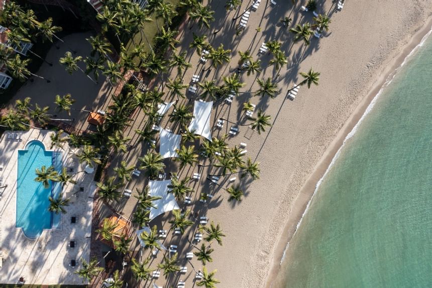 Top-view of beach with pool & palm trees at Club Hemingway
