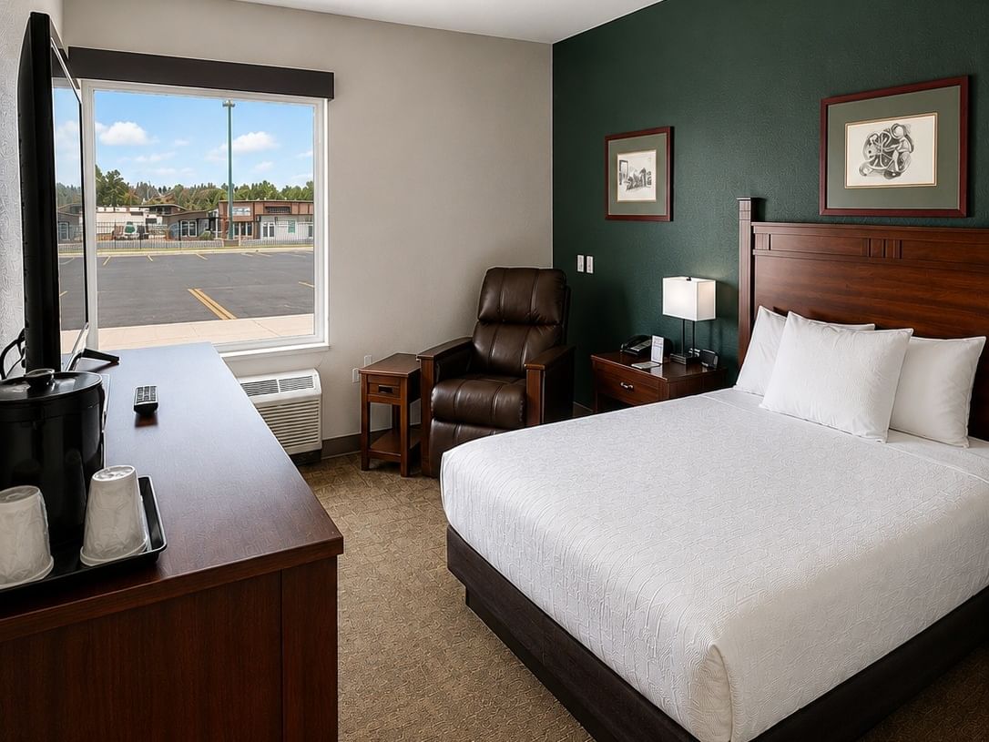 Hotel room with queen bed, dark green accent wall, leather recliner, and window view for Senior Discount offer.