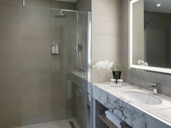 Vanity & shower of Executive Suite at Warwick Reine Astrid