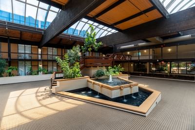 A fountain centerpiece with plants in The Courtyard at M Hotel Buffalo