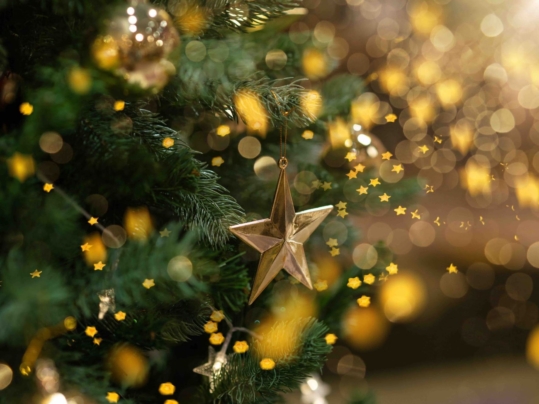 A star hanged on a christmas tree at Danna Langkawi Hotel