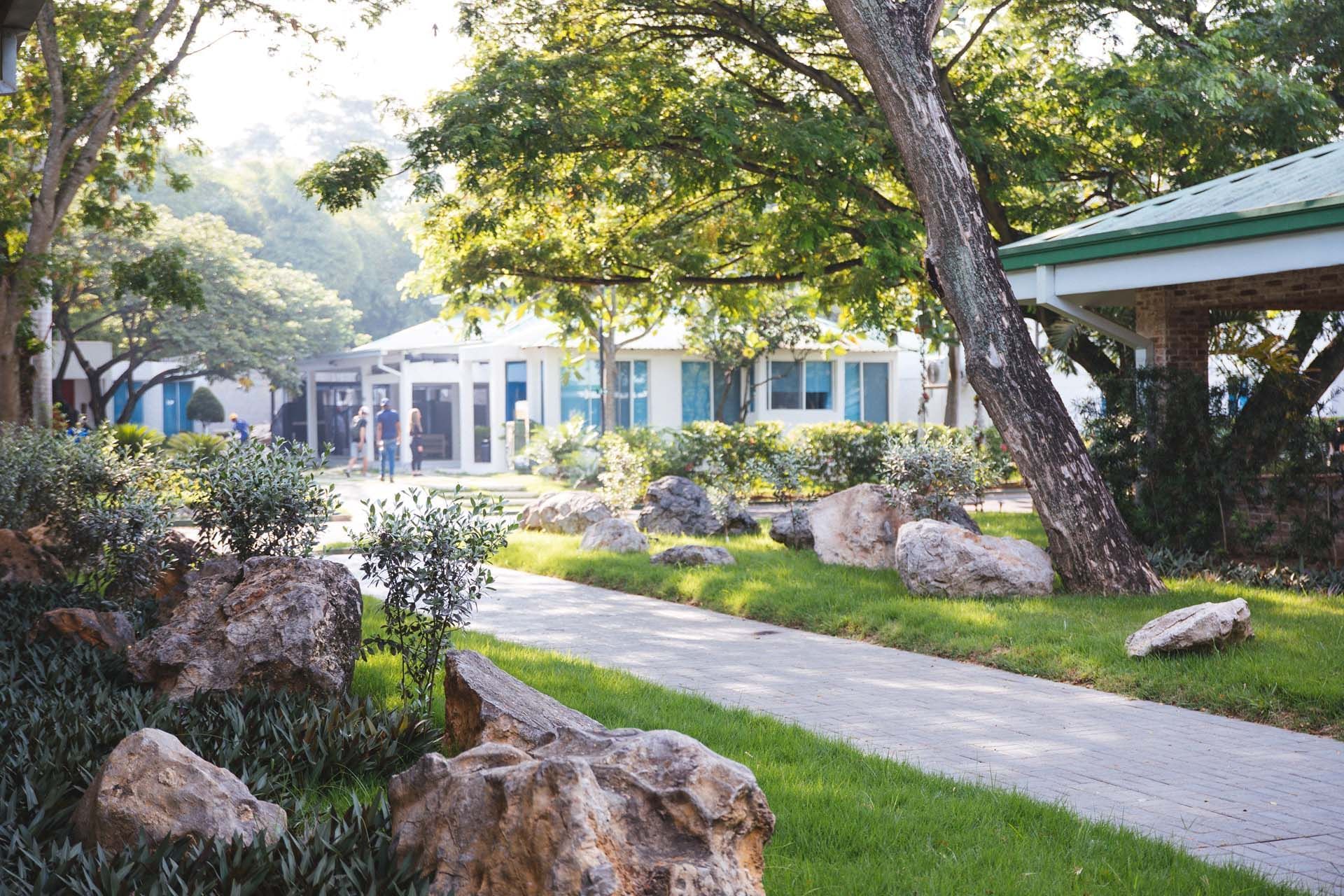 Walkway surrounded by rocks and trees at Cha Cha Hotel