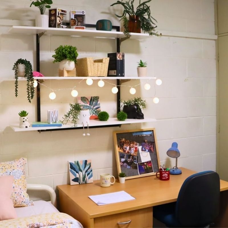 A neatly organized dorm room at La Trobe University with desk, shelves, and bed.